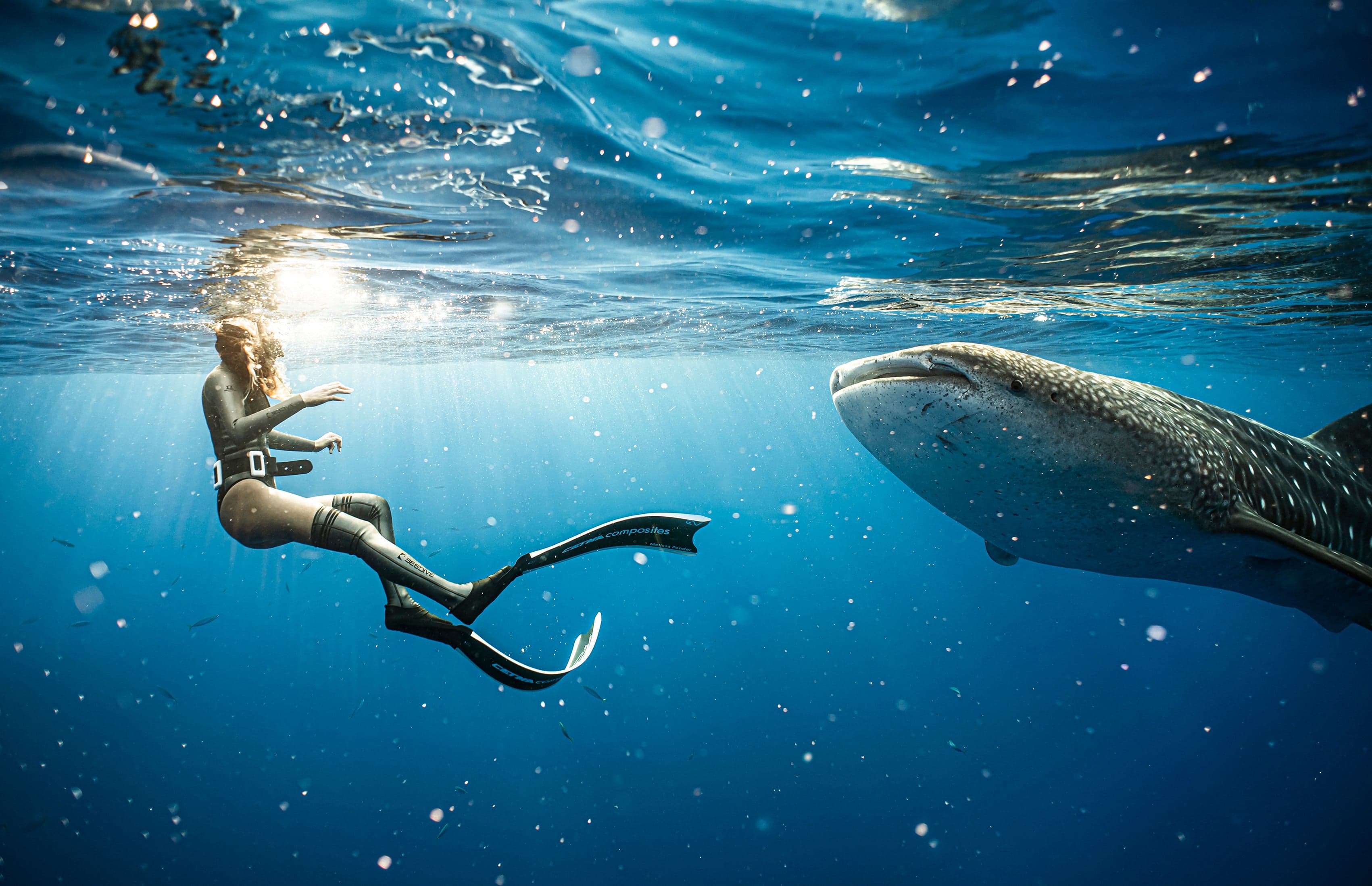 BESTDIVE freediving wetsuits