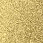 Light Gold (H06)
