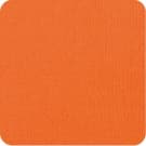 Neon Orange (T15)
