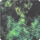 Sunlit Green (T48)